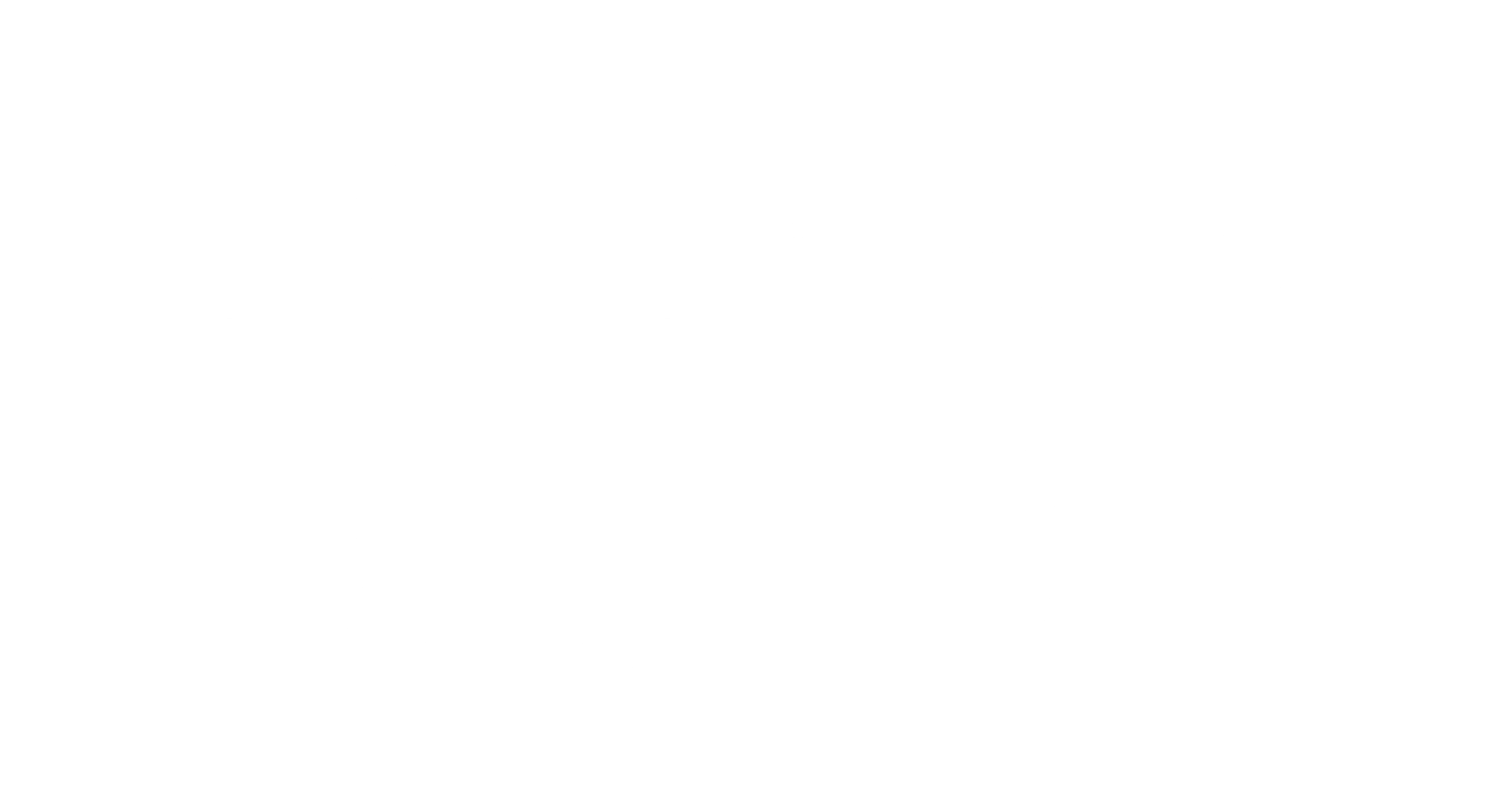 Logo the-french-wedding-veil