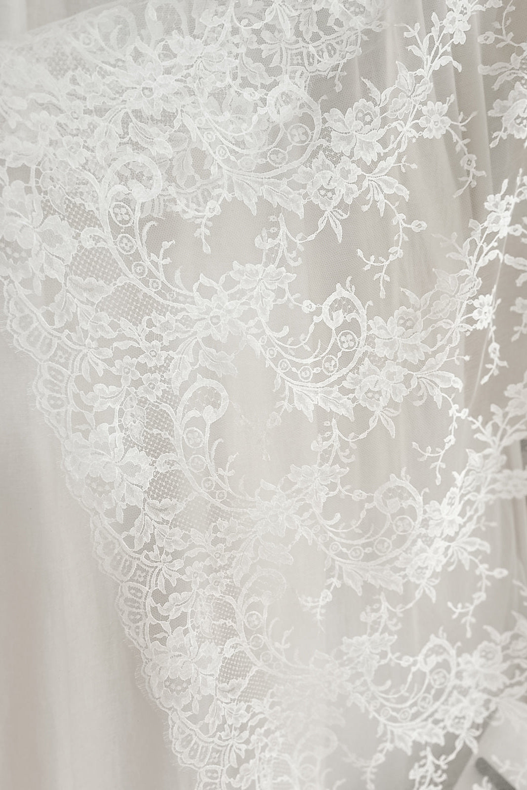 Close-up of floral scrolls and rose motifs in Leavers lace, with Paris buildings behind